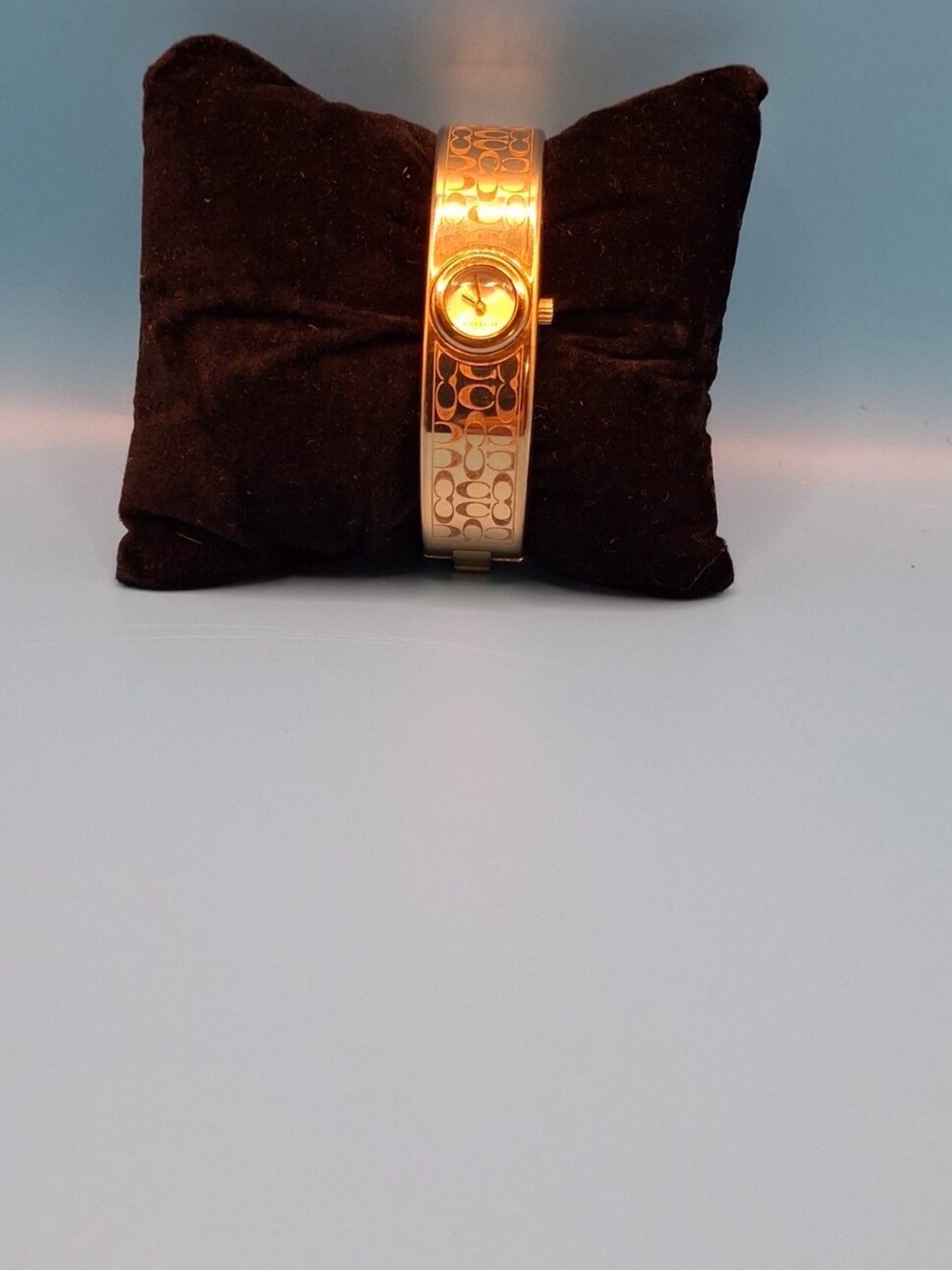 Coach Gold Tone Signature Accent Pillow Display